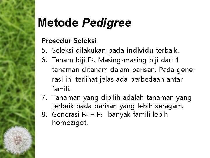 Metode Pedigree Prosedur Seleksi 5. Seleksi dilakukan pada individu terbaik. 6. Tanam biji F Metode Pedigree Prosedur Seleksi 5. Seleksi dilakukan pada individu terbaik. 6. Tanam biji F