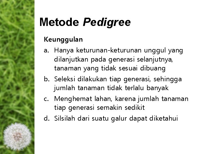 Metode Pedigree Keunggulan a. Hanya keturunan-keturunan unggul yang dilanjutkan pada generasi selanjutnya, tanaman yang Metode Pedigree Keunggulan a. Hanya keturunan-keturunan unggul yang dilanjutkan pada generasi selanjutnya, tanaman yang