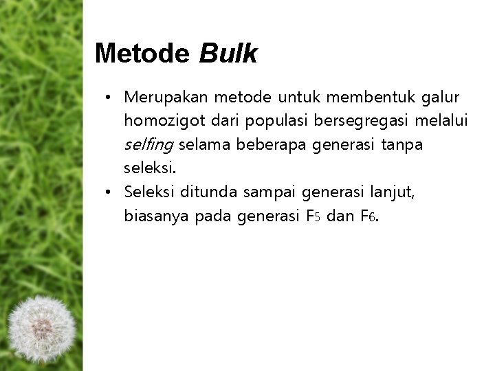 Metode Bulk • Merupakan metode untuk membentuk galur homozigot dari populasi bersegregasi melalui selfing Metode Bulk • Merupakan metode untuk membentuk galur homozigot dari populasi bersegregasi melalui selfing