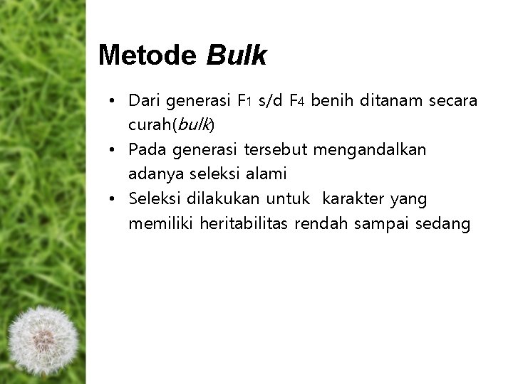 Metode Bulk • Dari generasi F 1 s/d F 4 benih ditanam secara curah(bulk) Metode Bulk • Dari generasi F 1 s/d F 4 benih ditanam secara curah(bulk)