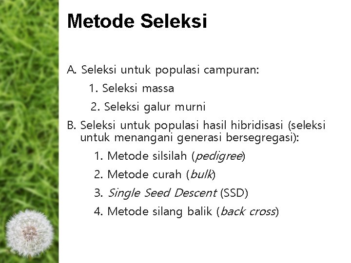 Metode Seleksi A. Seleksi untuk populasi campuran: 1. Seleksi massa 2. Seleksi galur murni Metode Seleksi A. Seleksi untuk populasi campuran: 1. Seleksi massa 2. Seleksi galur murni