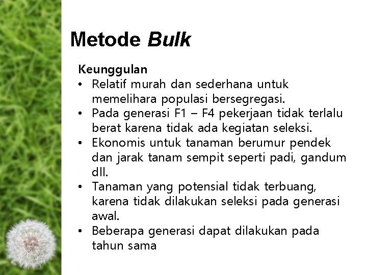 Metode Bulk Keunggulan • Relatif murah dan sederhana untuk memelihara populasi bersegregasi. • Pada Metode Bulk Keunggulan • Relatif murah dan sederhana untuk memelihara populasi bersegregasi. • Pada
