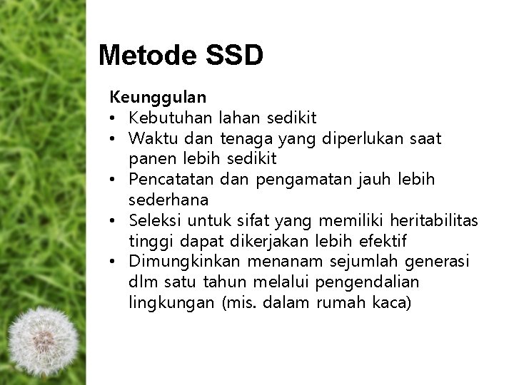 Metode SSD Keunggulan • Kebutuhan lahan sedikit • Waktu dan tenaga yang diperlukan saat Metode SSD Keunggulan • Kebutuhan lahan sedikit • Waktu dan tenaga yang diperlukan saat