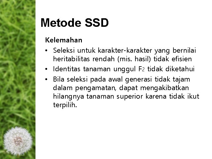 Metode SSD Kelemahan • Seleksi untuk karakter-karakter yang bernilai heritabilitas rendah (mis. hasil) tidak Metode SSD Kelemahan • Seleksi untuk karakter-karakter yang bernilai heritabilitas rendah (mis. hasil) tidak