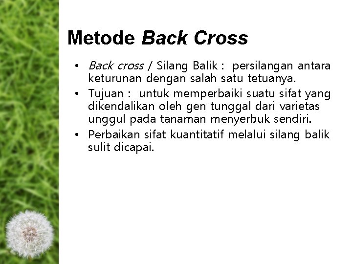 Metode Back Cross • Back cross / Silang Balik : persilangan antara keturunan dengan Metode Back Cross • Back cross / Silang Balik : persilangan antara keturunan dengan