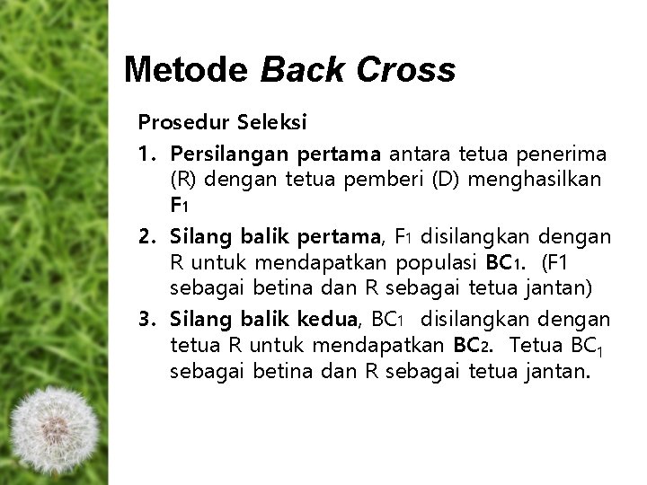 Metode Back Cross Prosedur Seleksi 1. Persilangan pertama antara tetua penerima (R) dengan tetua Metode Back Cross Prosedur Seleksi 1. Persilangan pertama antara tetua penerima (R) dengan tetua