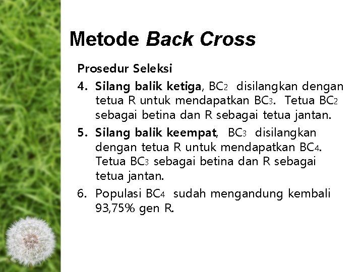 Metode Back Cross Prosedur Seleksi 4. Silang balik ketiga, BC 2 disilangkan dengan tetua Metode Back Cross Prosedur Seleksi 4. Silang balik ketiga, BC 2 disilangkan dengan tetua