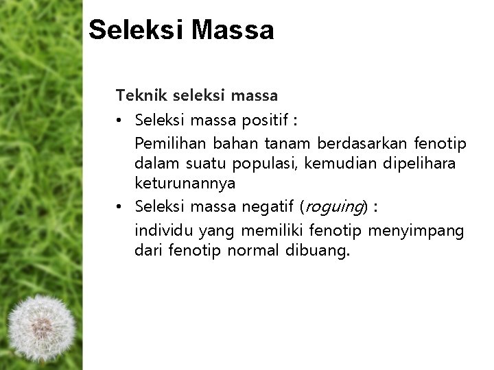 Seleksi Massa Teknik seleksi massa • Seleksi massa positif : Pemilihan bahan tanam berdasarkan Seleksi Massa Teknik seleksi massa • Seleksi massa positif : Pemilihan bahan tanam berdasarkan
