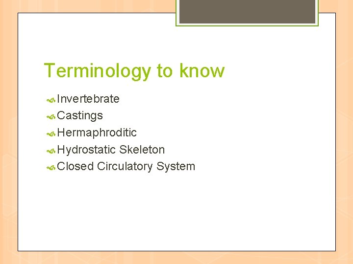 Terminology to know Invertebrate Castings Hermaphroditic Hydrostatic Skeleton Closed Circulatory System 