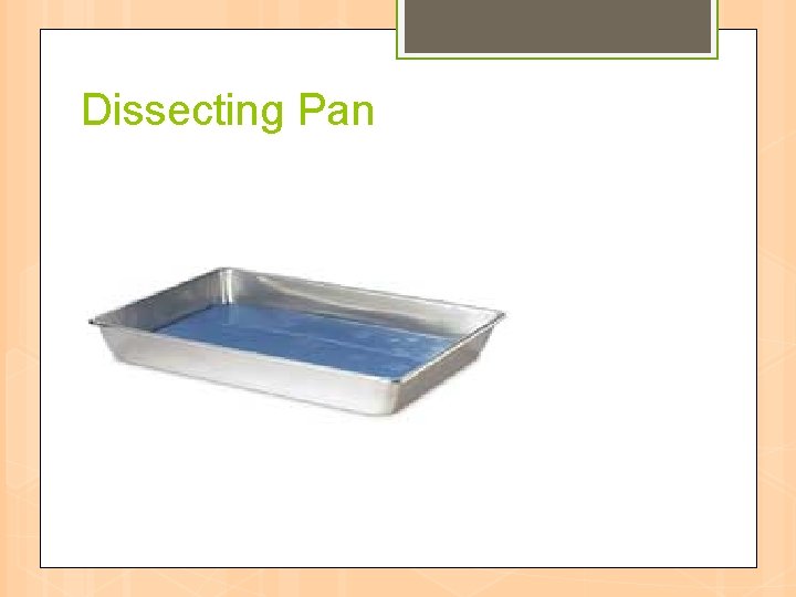 Dissecting Pan 
