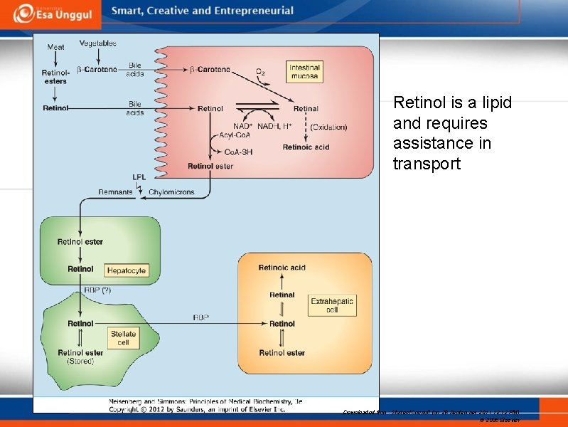 Retinol is a lipid and requires assistance in transport Downloaded from: Student. Consult (on