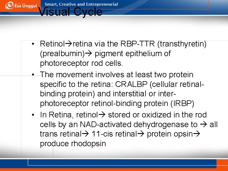 Visual Cycle • Retinol retina via the RBP-TTR (transthyretin) (prealbumin) pigment epithelium of photoreceptor