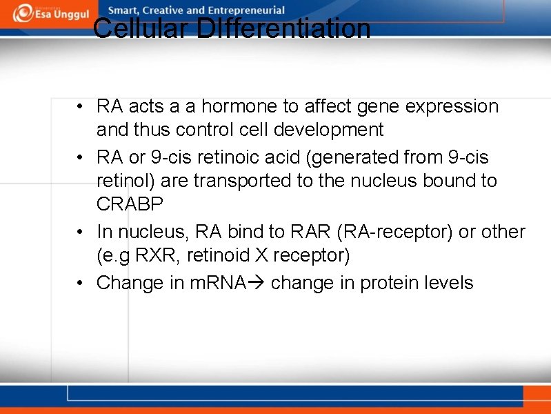 Cellular DIfferentiation • RA acts a a hormone to affect gene expression and thus