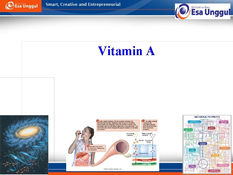 Vitamin A 