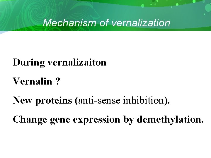 Mechanism of vernalization During vernalizaiton Vernalin ? New proteins (anti-sense inhibition). Change gene expression