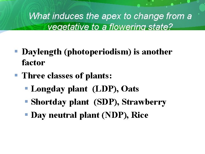 What induces the apex to change from a vegetative to a flowering state? §