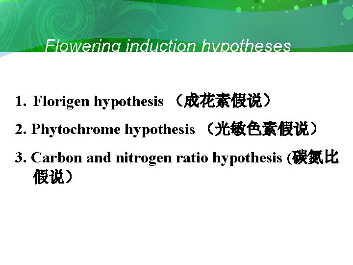 Flowering induction hypotheses 1. Florigen hypothesis （成花素假说） 2. Phytochrome hypothesis （光敏色素假说） 3. Carbon and