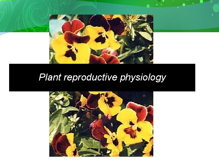 Plant reproductive physiology 