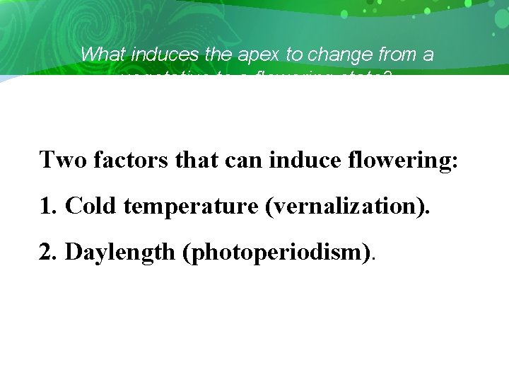 What induces the apex to change from a vegetative to a flowering state? Two