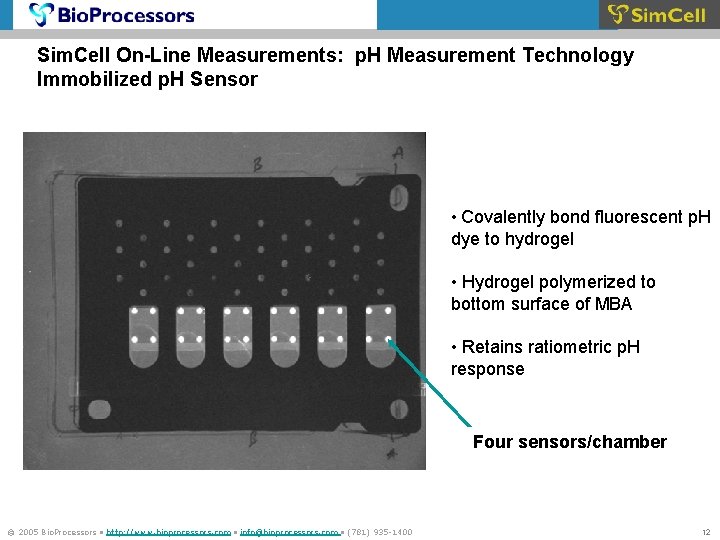Sim. Cell On-Line Measurements: p. H Measurement Technology Immobilized p. H Sensor • Covalently