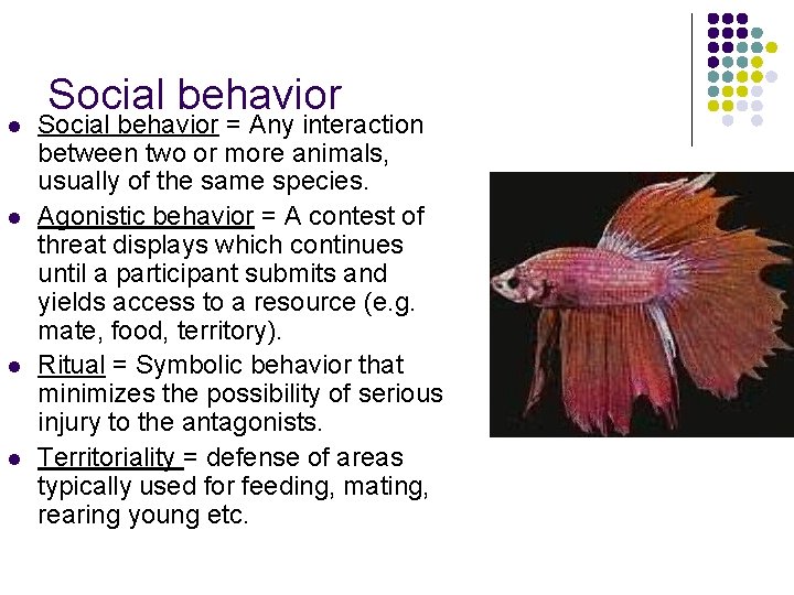 l l Social behavior = Any interaction between two or more animals, usually of