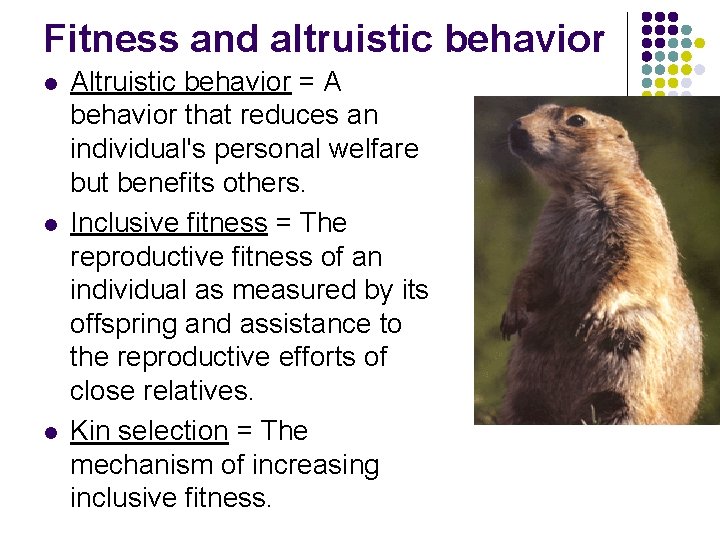 Fitness and altruistic behavior l l l Altruistic behavior = A behavior that reduces
