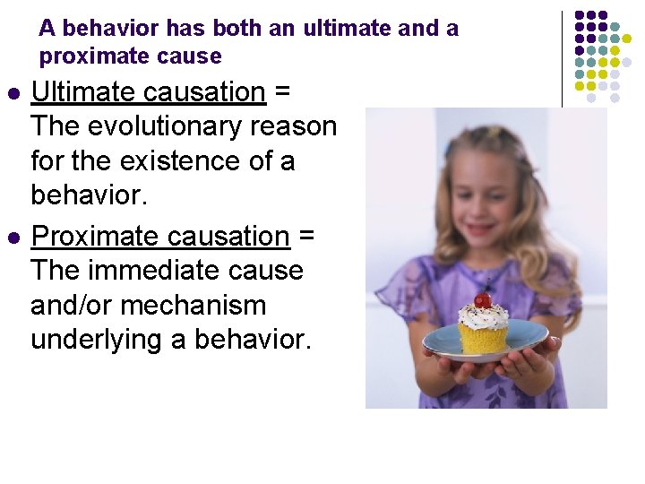 A behavior has both an ultimate and a proximate cause l l Ultimate causation