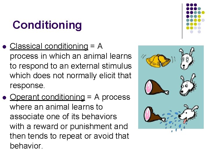 Conditioning l l Classical conditioning = A process in which an animal learns to