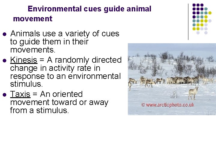 Environmental cues guide animal movement l l l Animals use a variety of cues