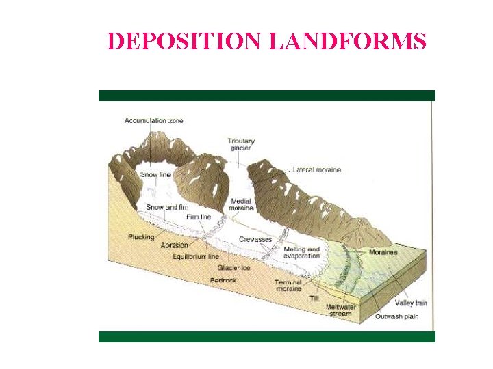 DEPOSITION LANDFORMS  DEPOSITION LANDFORMS