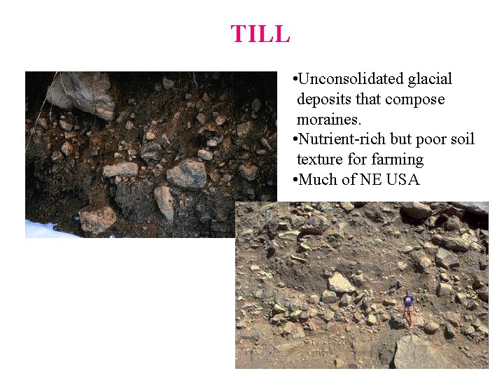 TILL • Unconsolidated glacial deposits that compose moraines. • Nutrient-rich but poor soil texture TILL • Unconsolidated glacial deposits that compose moraines. • Nutrient-rich but poor soil texture