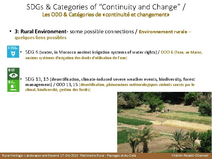 SDGs & Categories of “Continuity and Change” / Les ODD & Catégories de «continuité