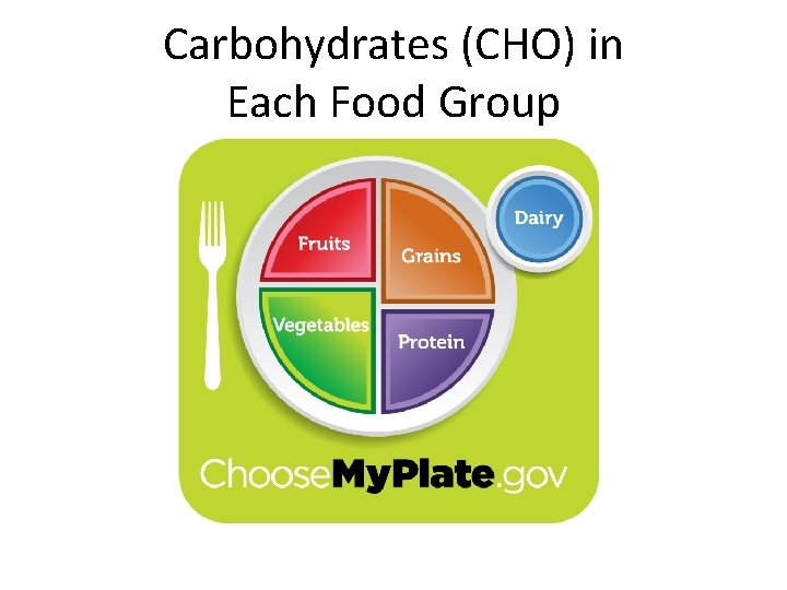 Carbohydrates (CHO) in Each Food Group 