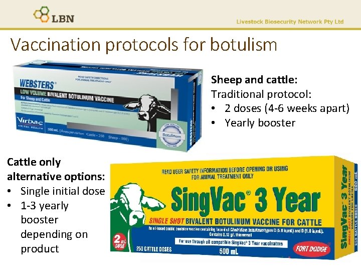 Vaccination protocols for botulism Sheep and cattle: Traditional protocol: • 2 doses (4 -6