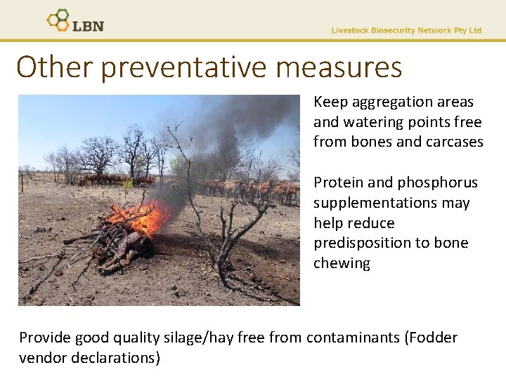Other preventative measures Keep aggregation areas and watering points free from bones and carcases