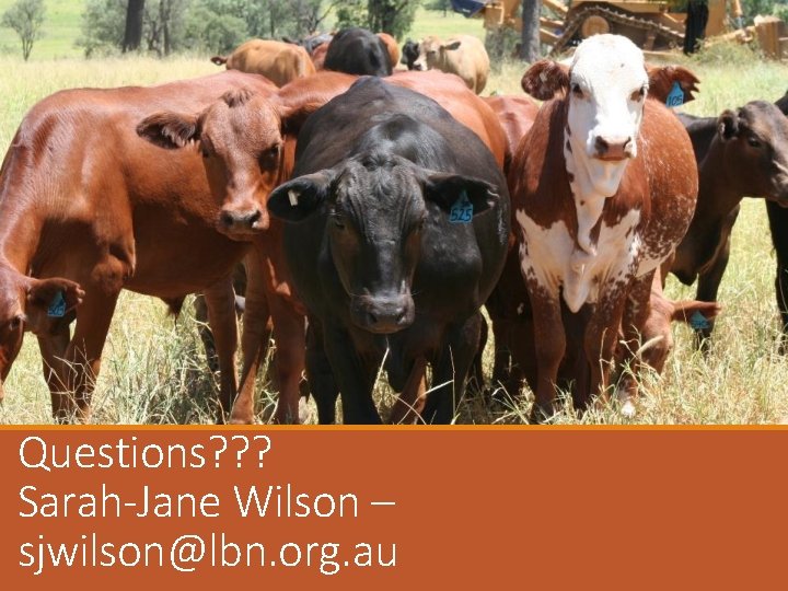 Questions? ? ? Sarah-Jane Wilson – sjwilson@lbn. org. au 