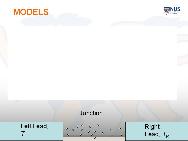 MODELS Junction TIENCS 2010 Left Lead, TL Right Lead, TR 3 