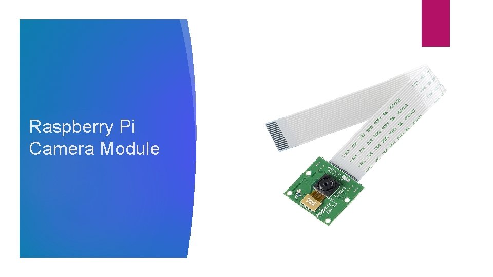 Raspberry Pi Camera Module Raspberry Pi Camera Module