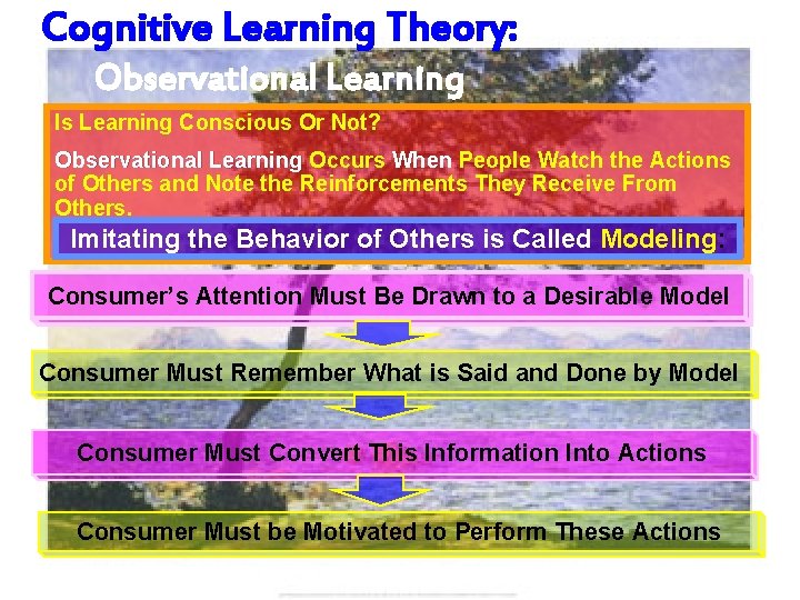 Cognitive Learning Theory: Observational Learning Is Learning Conscious Or Not? Observational Learning Occurs When