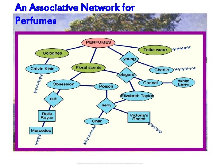 An Associative Network for Perfumes 