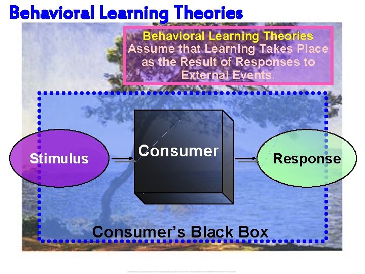 Behavioral Learning Theories Assume that Learning Takes Place as the Result of Responses to