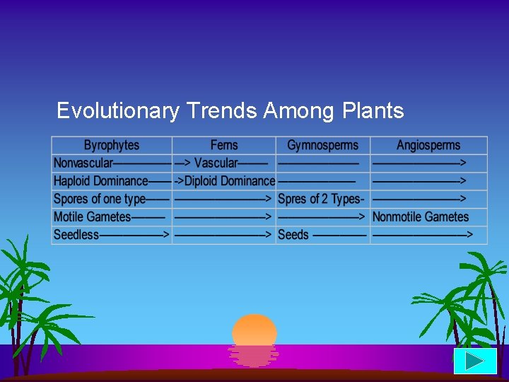 Evolutionary Trends Among Plants 