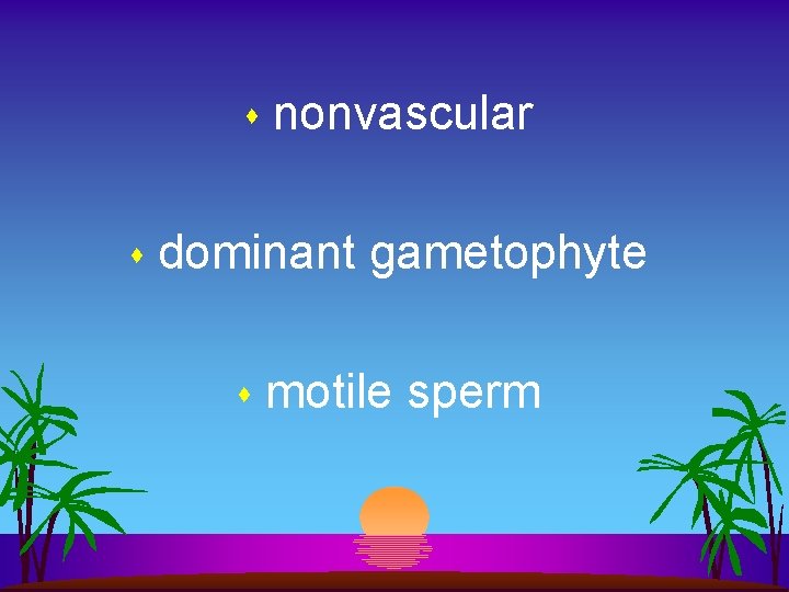 s s nonvascular dominant gametophyte s motile sperm 