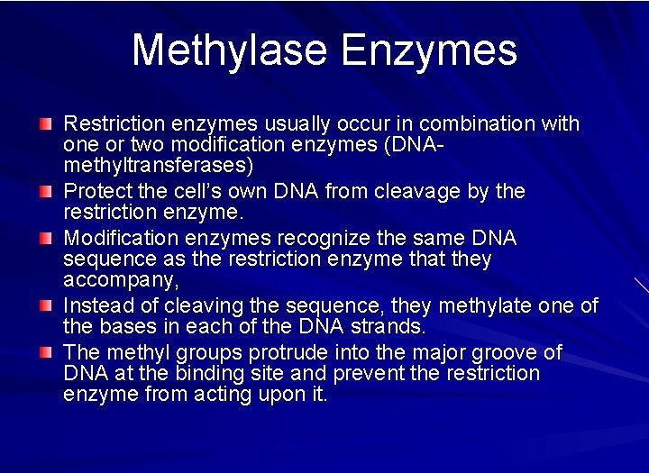 Methylase Enzymes Restriction enzymes usually occur in combination with one or two modification enzymes