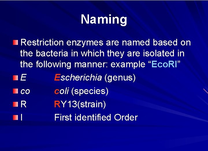Naming Restriction enzymes are named based on the bacteria in which they are isolated