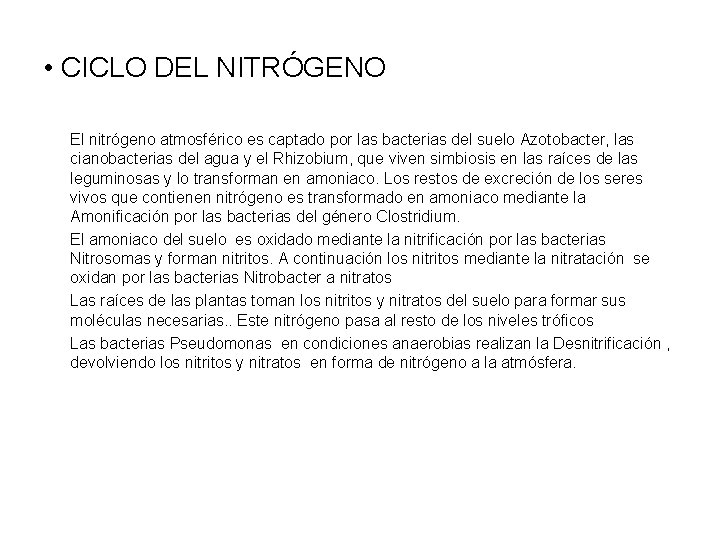  • CICLO DEL NITRÓGENO El nitrógeno atmosférico es captado por las bacterias del