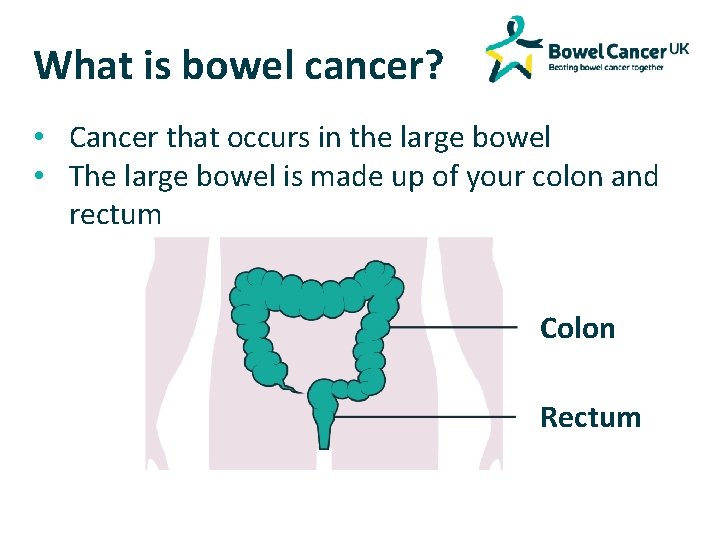 What is bowel cancer? • Cancer that occurs in the large bowel • The