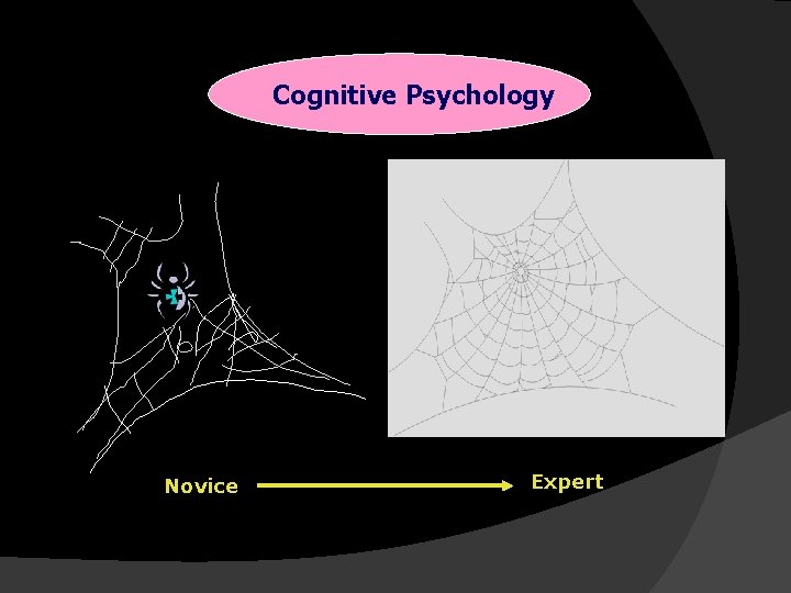 Cognitive Psychology Novice Expert 
