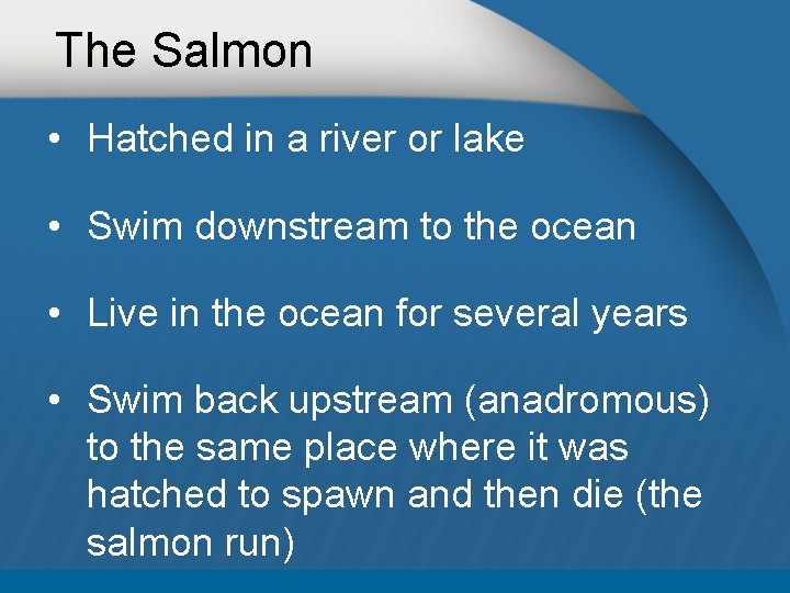 The Salmon • Hatched in a river or lake • Swim downstream to the