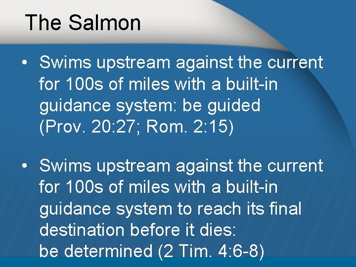 The Salmon • Swims upstream against the current for 100 s of miles with